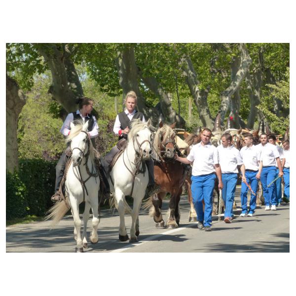 PHOTO84, CLUB, 84 , LUBERON